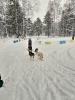 фото_2