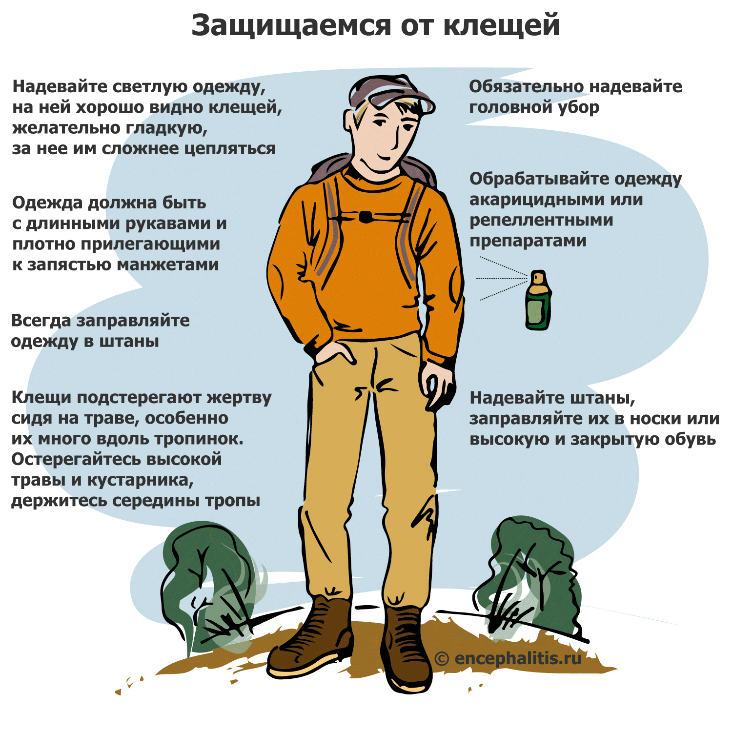 ДЛЯ ДИРЕКТОРА ПРО КЛЕЩЕЙ